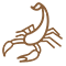 Classification of Animal TCM