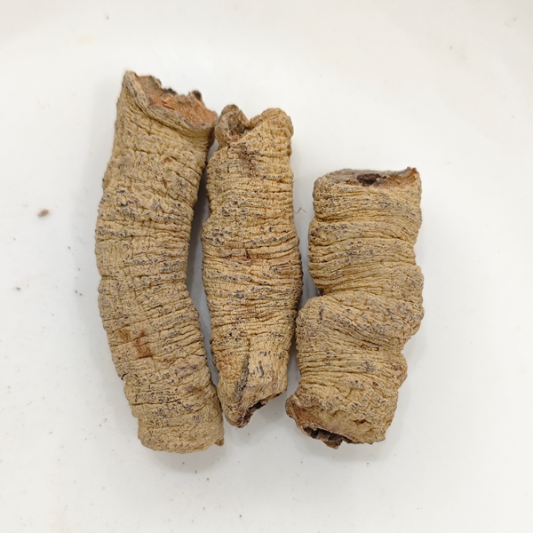 Morinda root (Morinda officinalis)