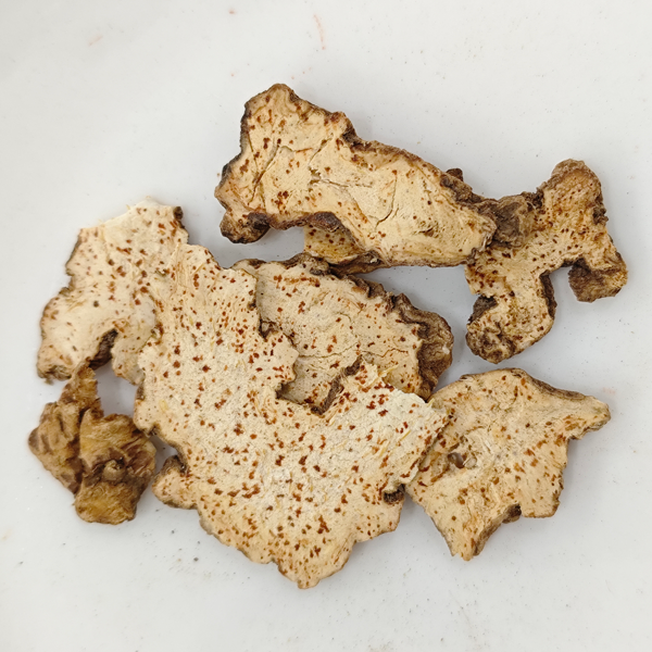 Atractylodes lancea