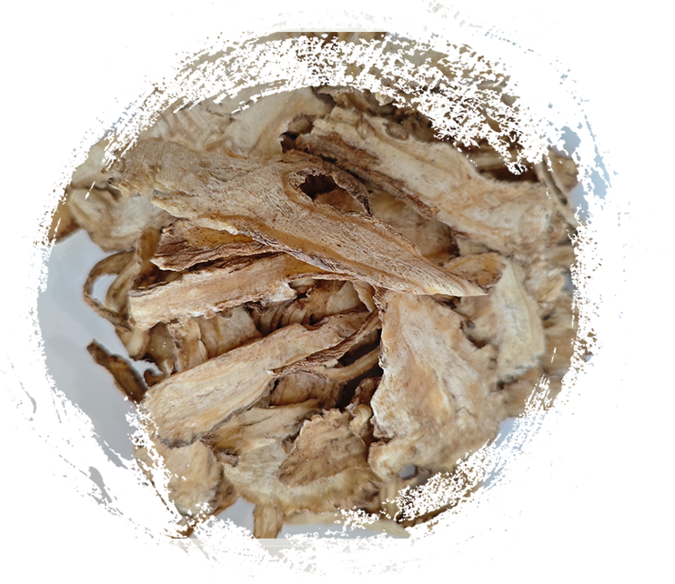 What Makes TCM Herbal Plants So Powerful? Features Explained