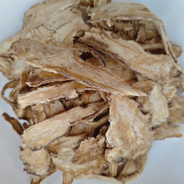 Angelica sinensis