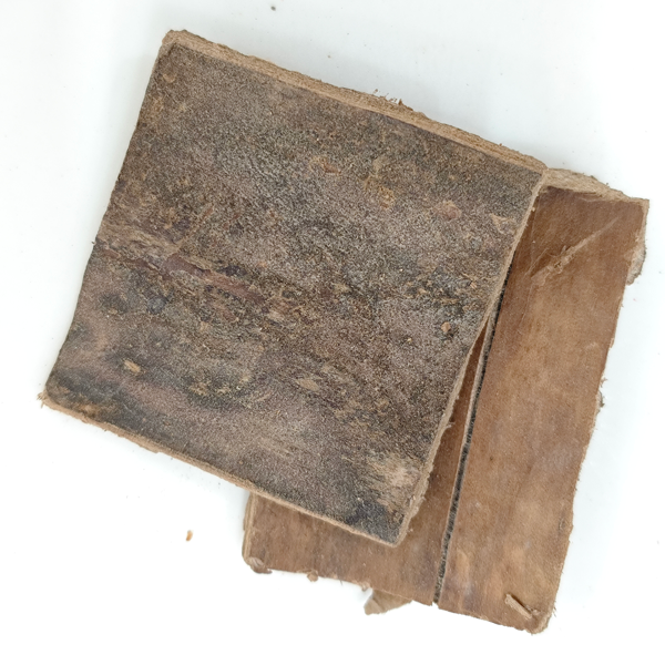 Eucommia