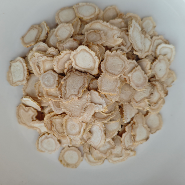 Panax ginseng
