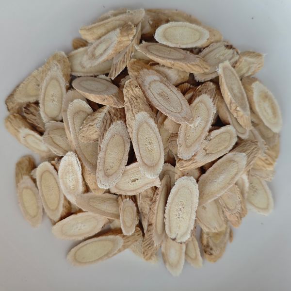 Astragalus membranaceust (used in TCM)