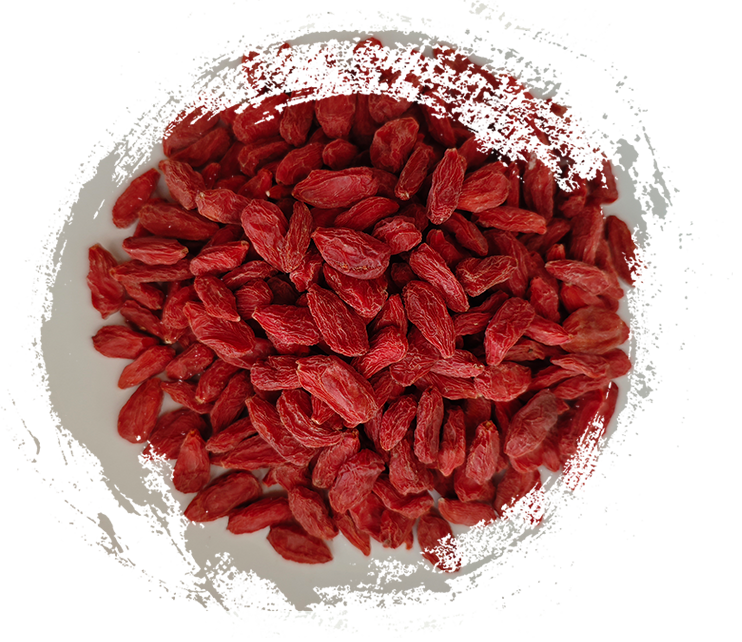 From Ginseng to Goji: Famous Chinese Medicinal Plants and Their Functions