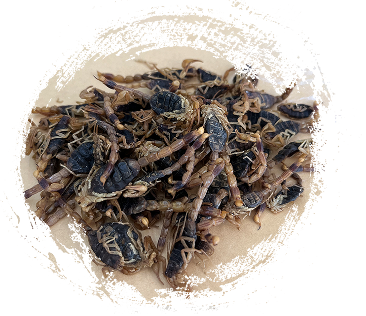 Classification of Animal TCM