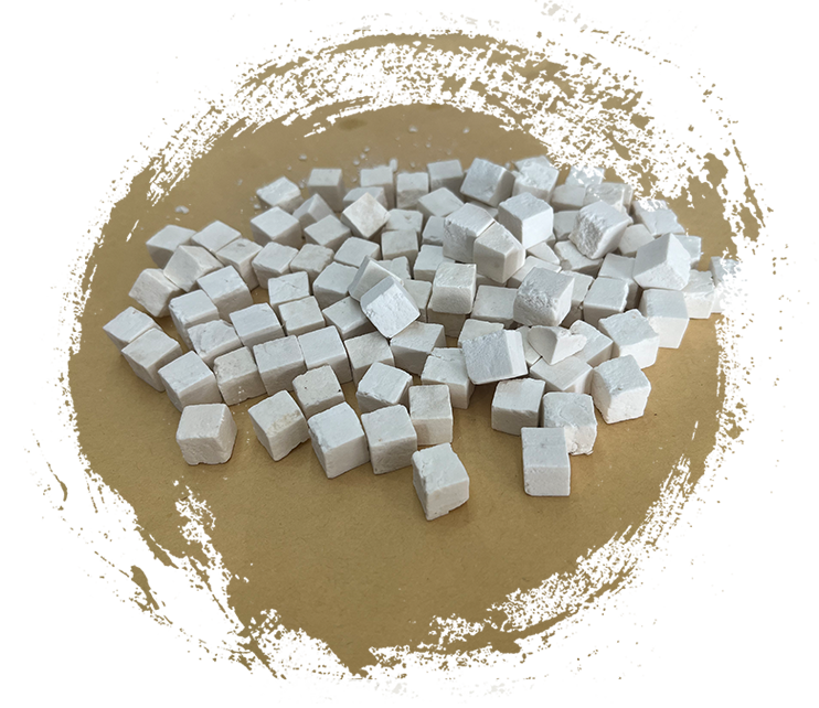 Wolfiporia extensa (a wood-decay fungus)