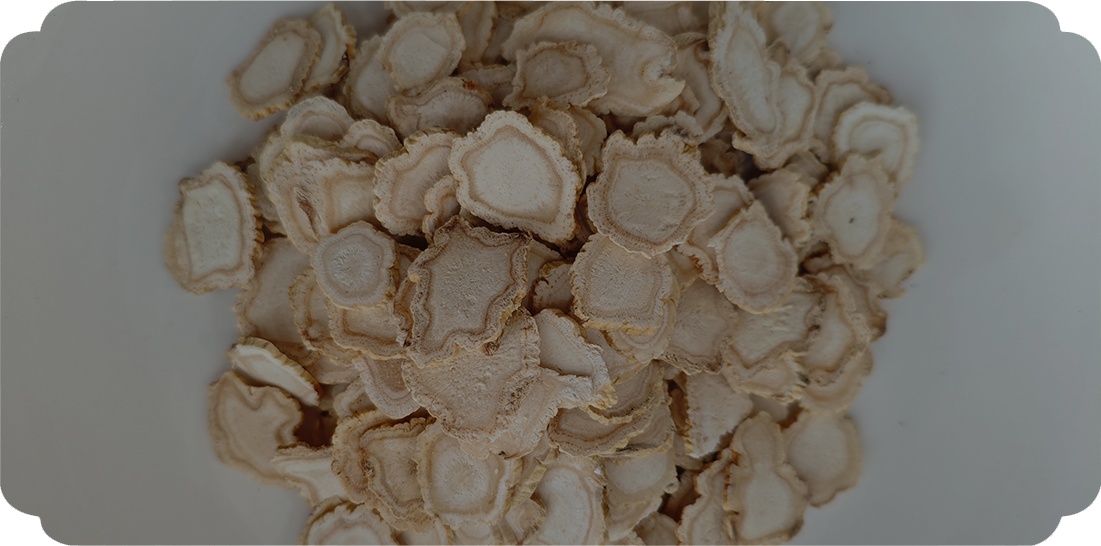 Panax ginseng