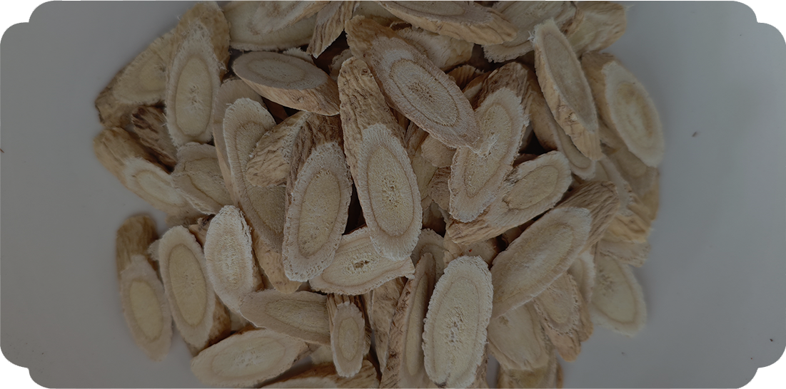 Astragalus membranaceust (used in TCM)