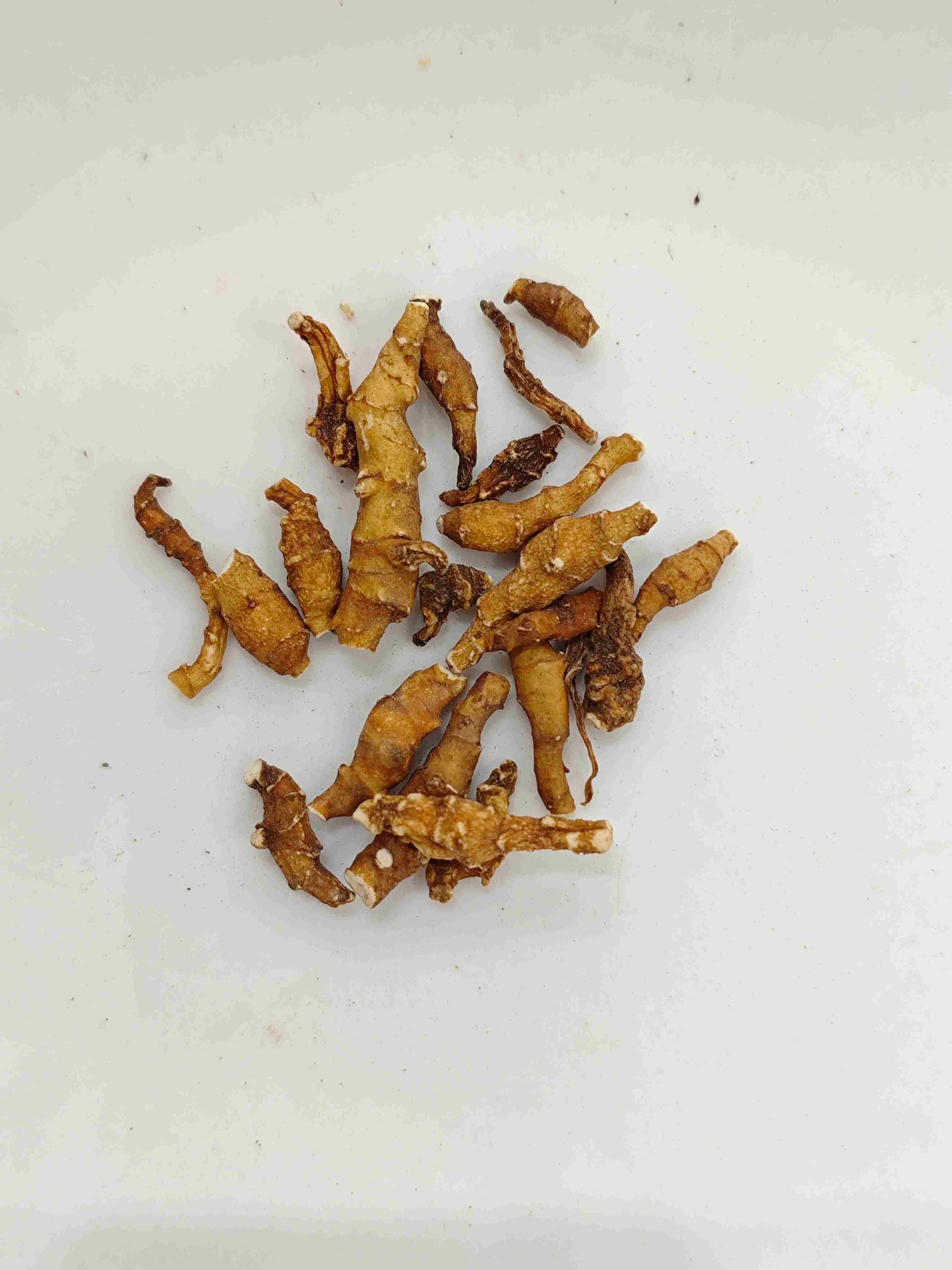 Calamus, Jiechangpu