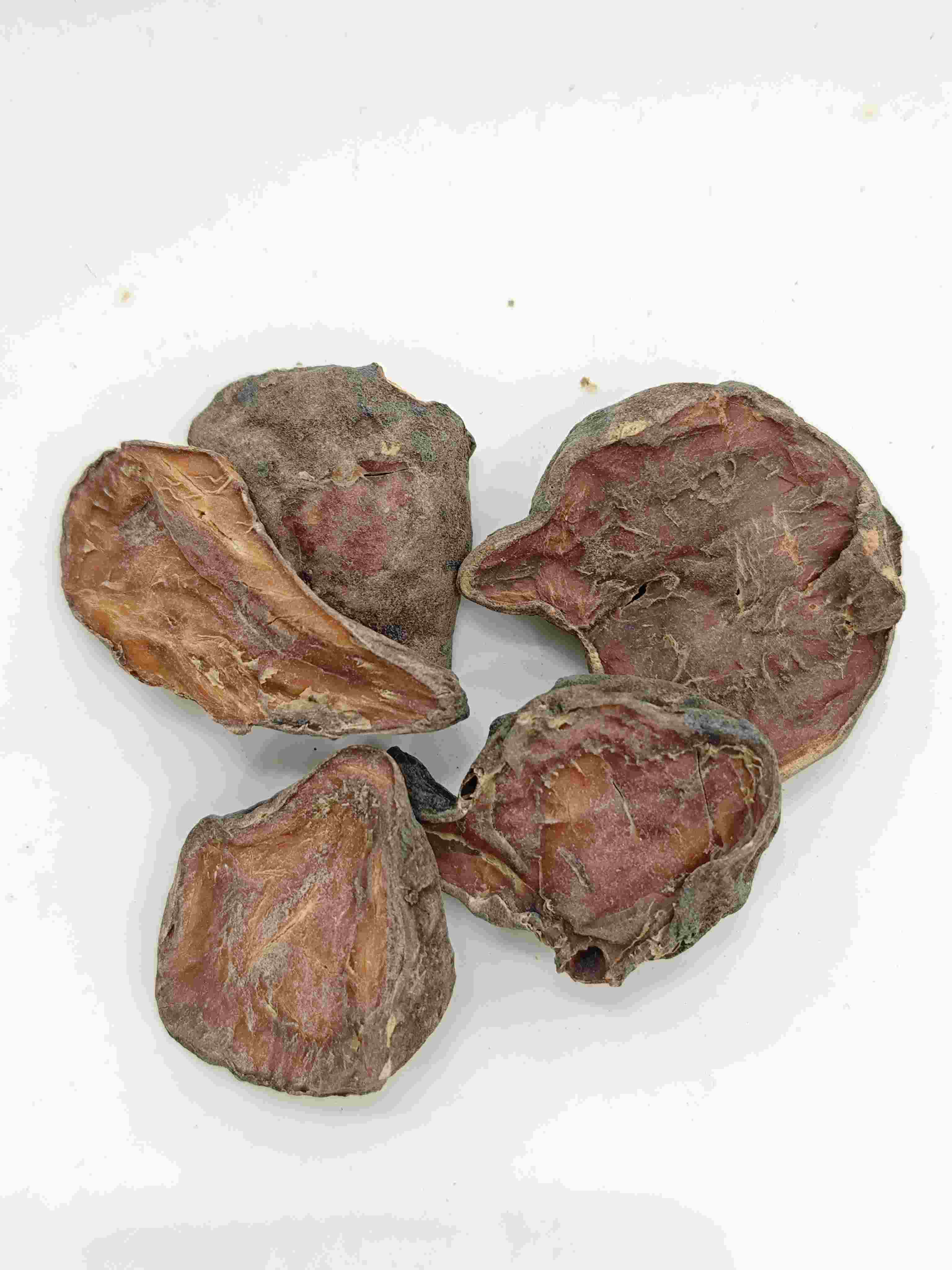 Prepared Aconite Slice, Paofupian