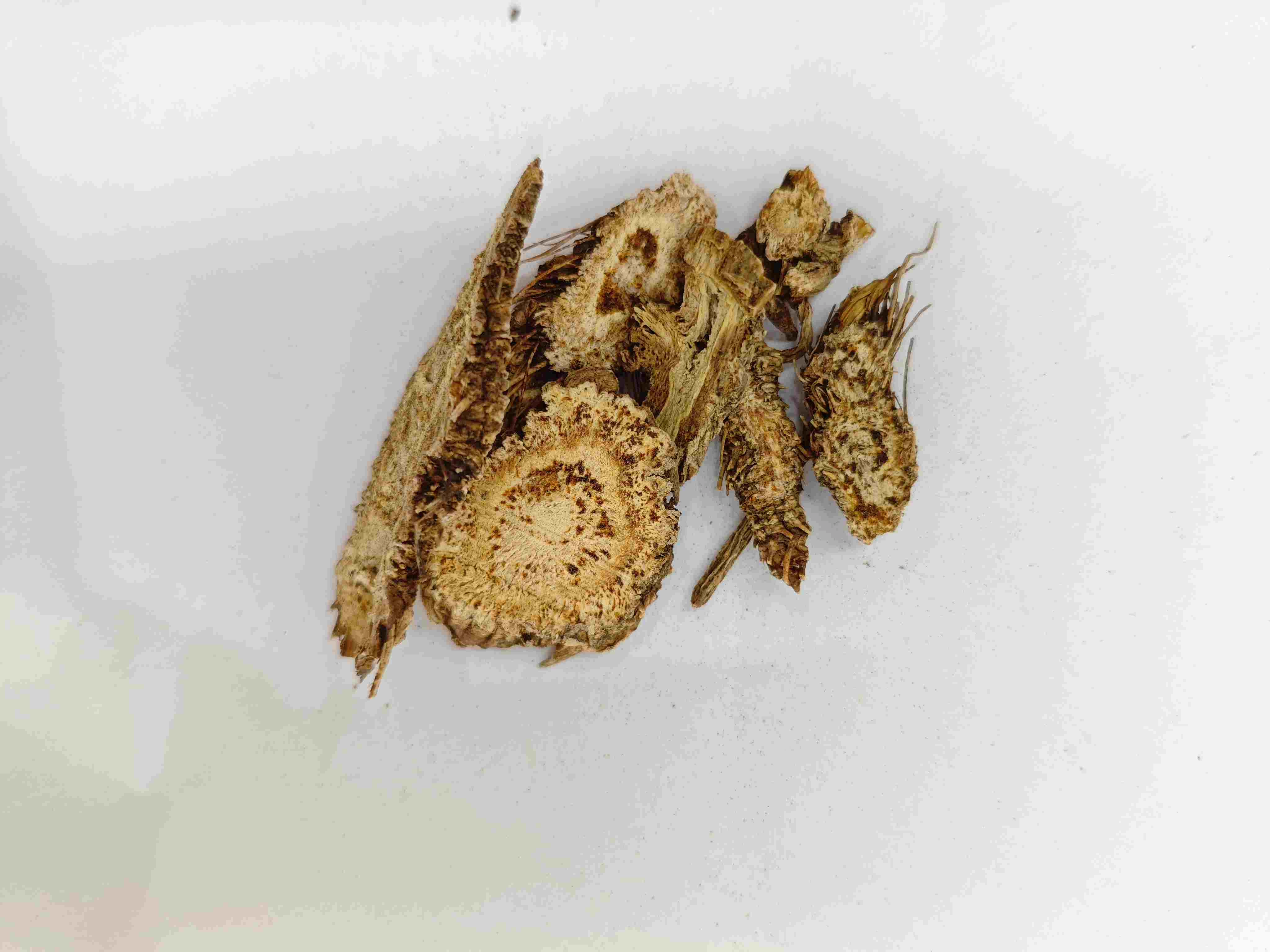 Peucedanum, Qianhu
