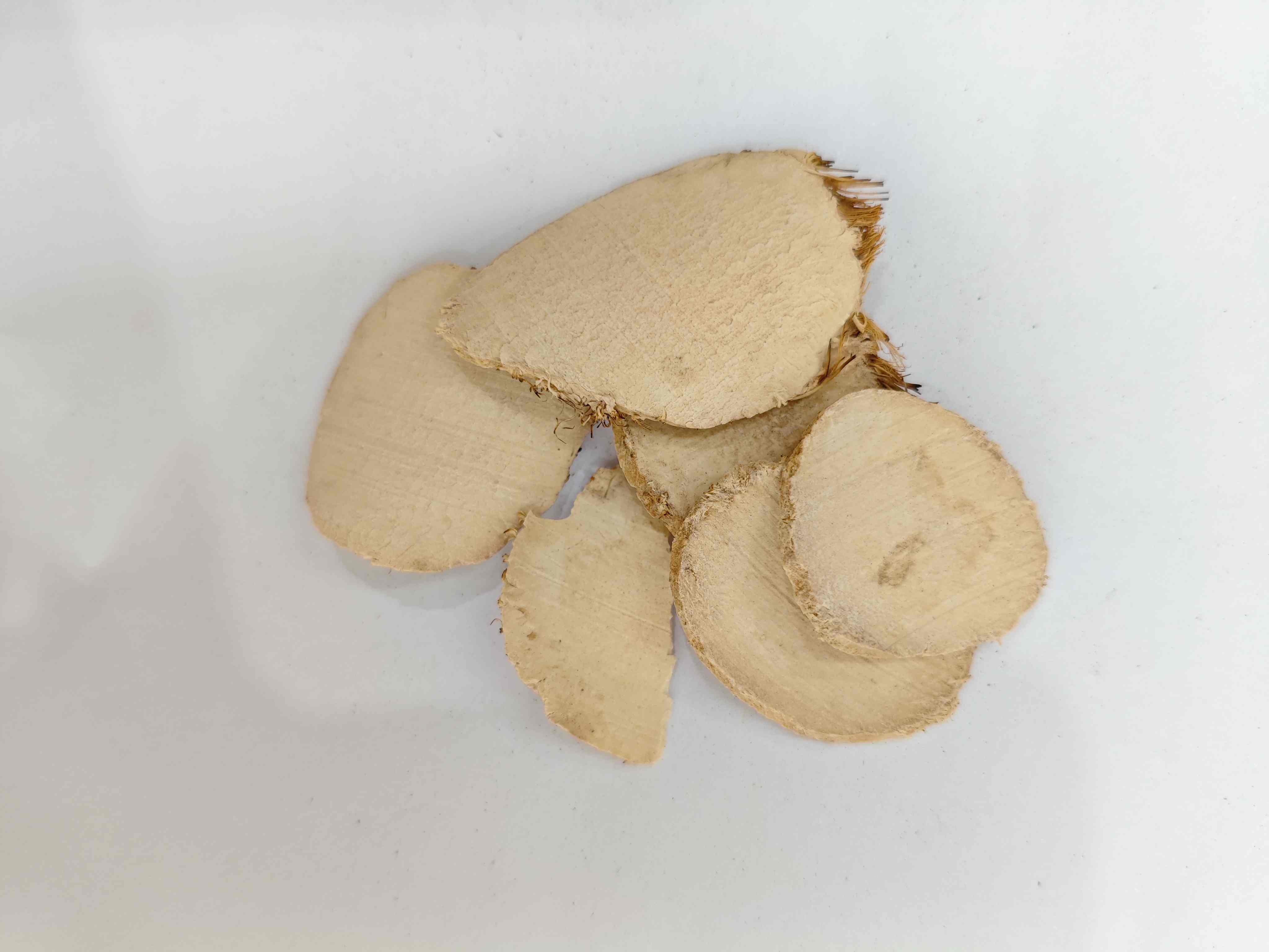 Sparganum, Sanleng