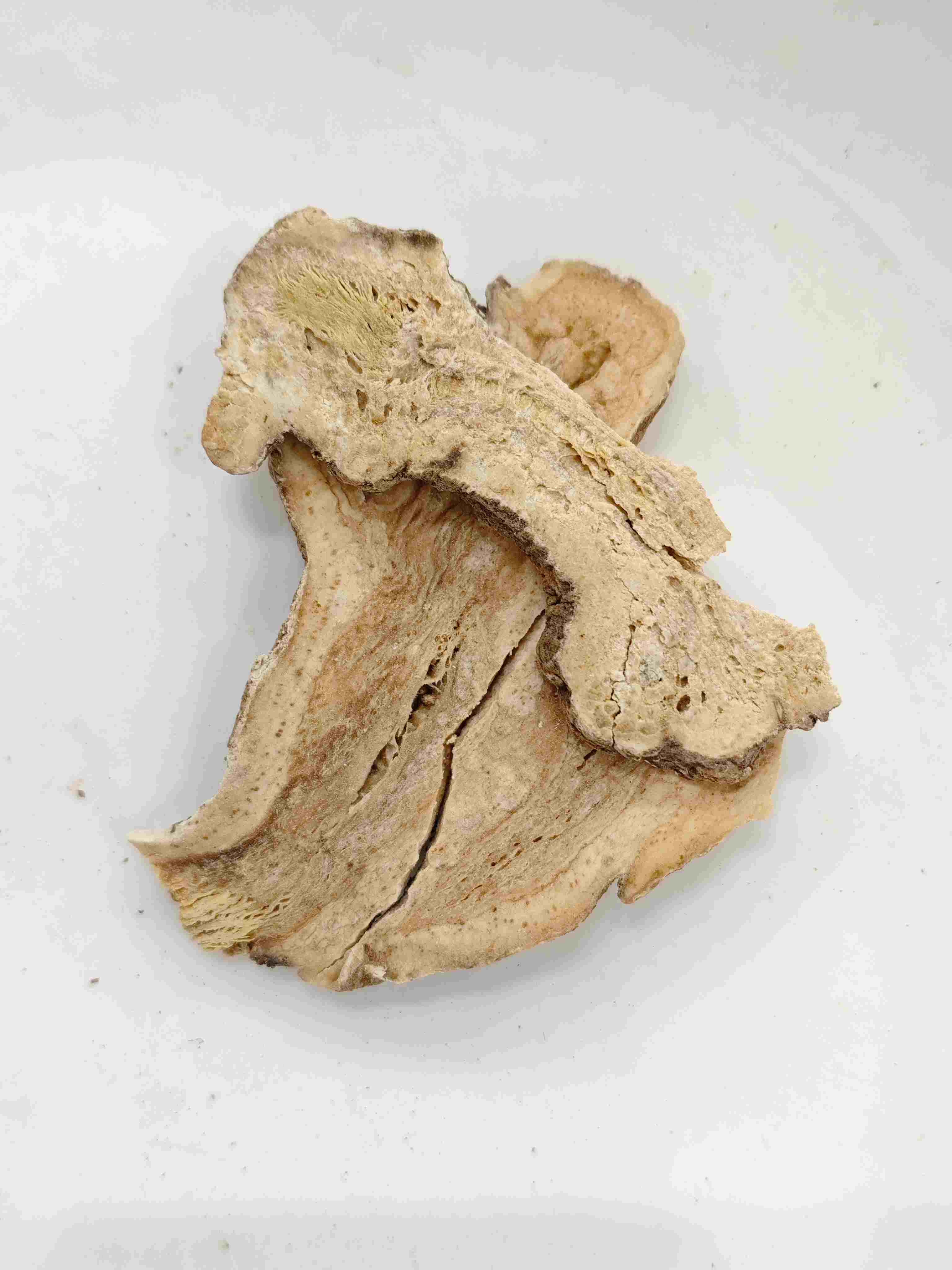 Atractylodes Rhizome (Sheng Baizhu)