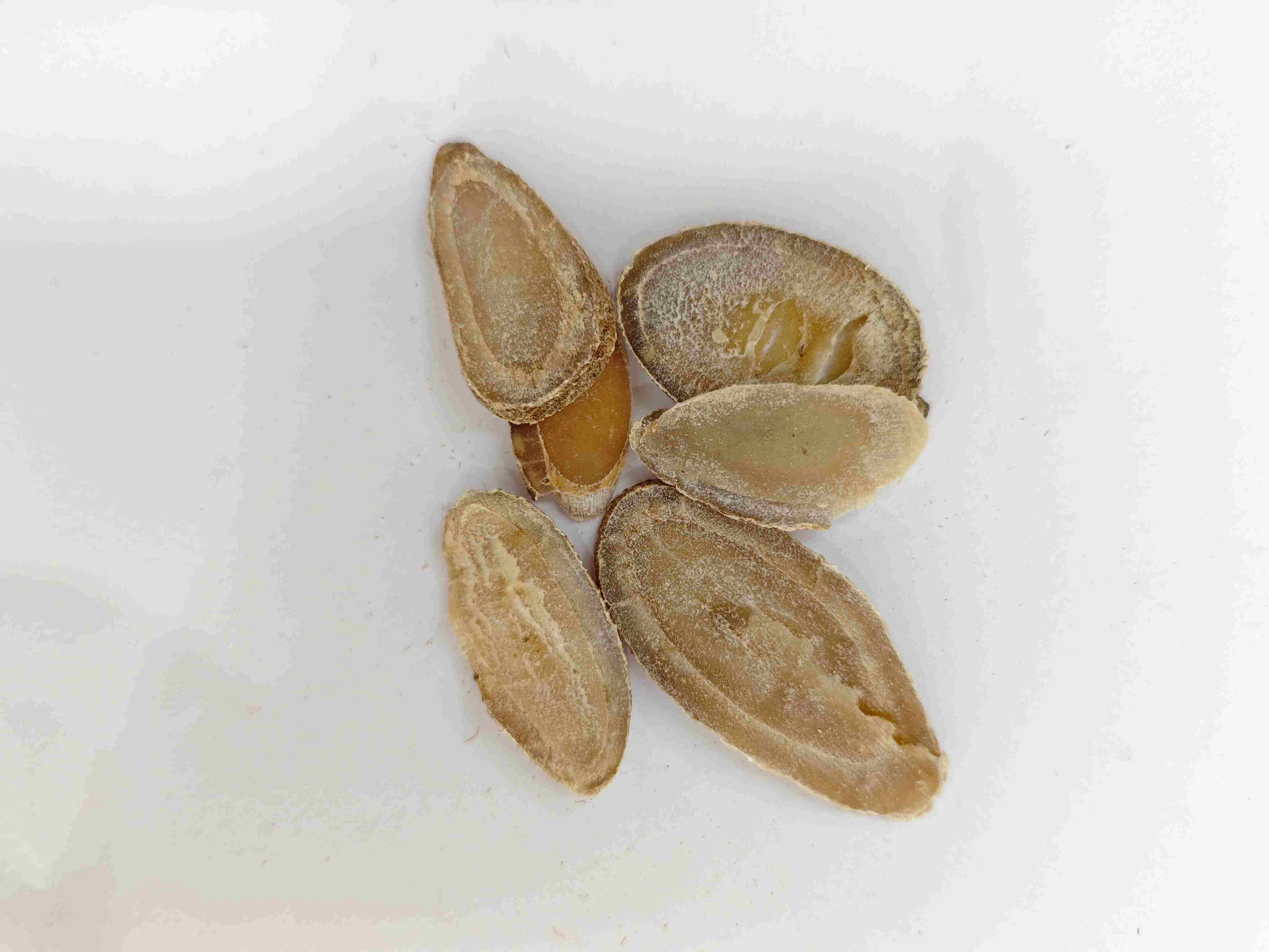 Turmeric Rhizome (Yujin)