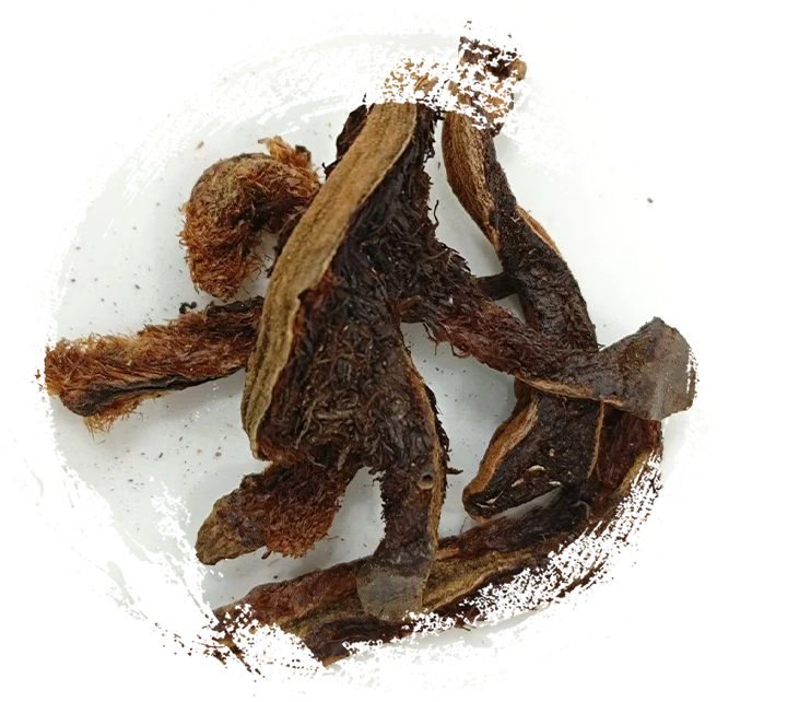 Bone Fragment Repair