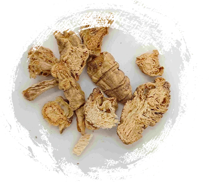 Southern Codonopsis, Nan Sha Shen