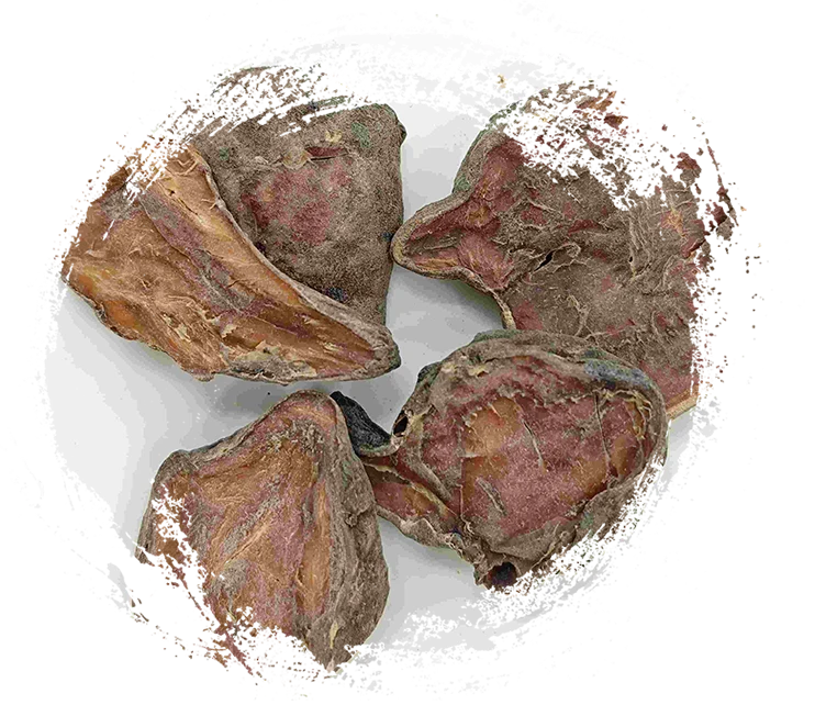 Prepared Aconite Slice, Paofupian