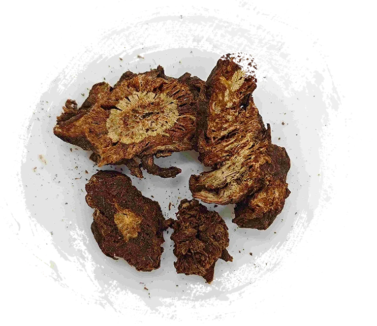 Notopterygium, Qianghuo