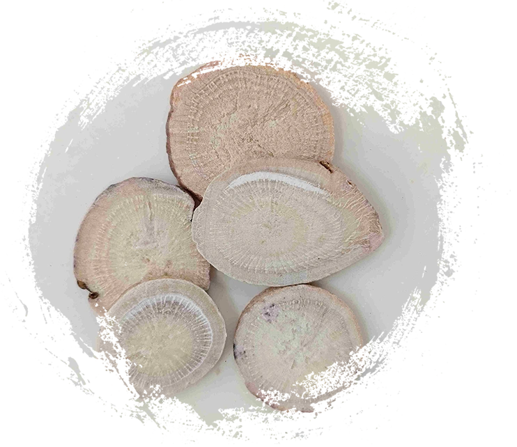 White Peony Root (Sheng Baishao)