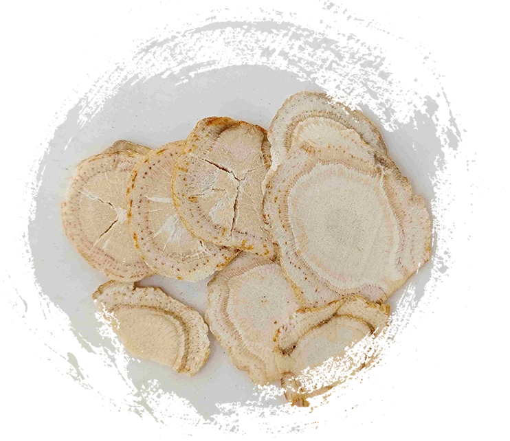 Exploring the Power of Traditional Chinese Medicine with Plants TCM