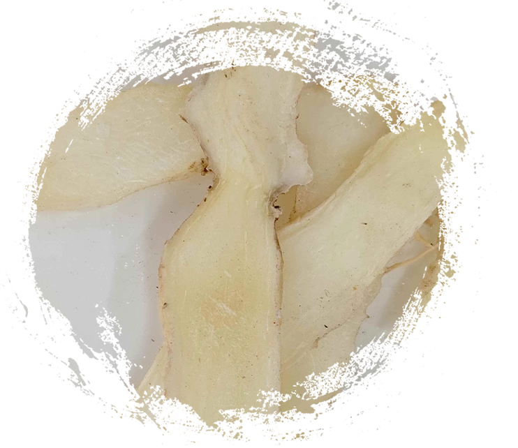 Solomon's Seal (Yuzhu)