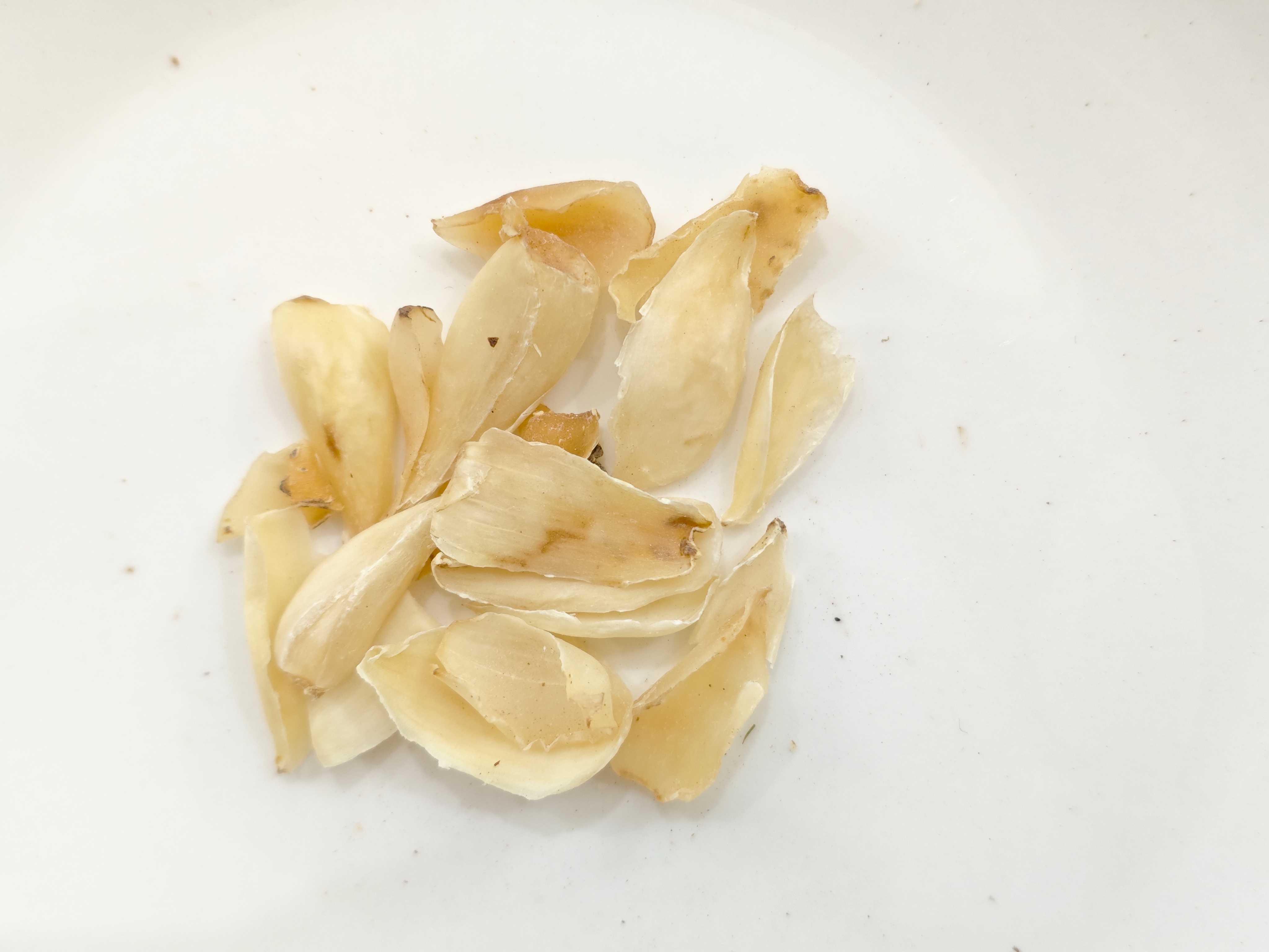 Lily Bulb (Baihe)
