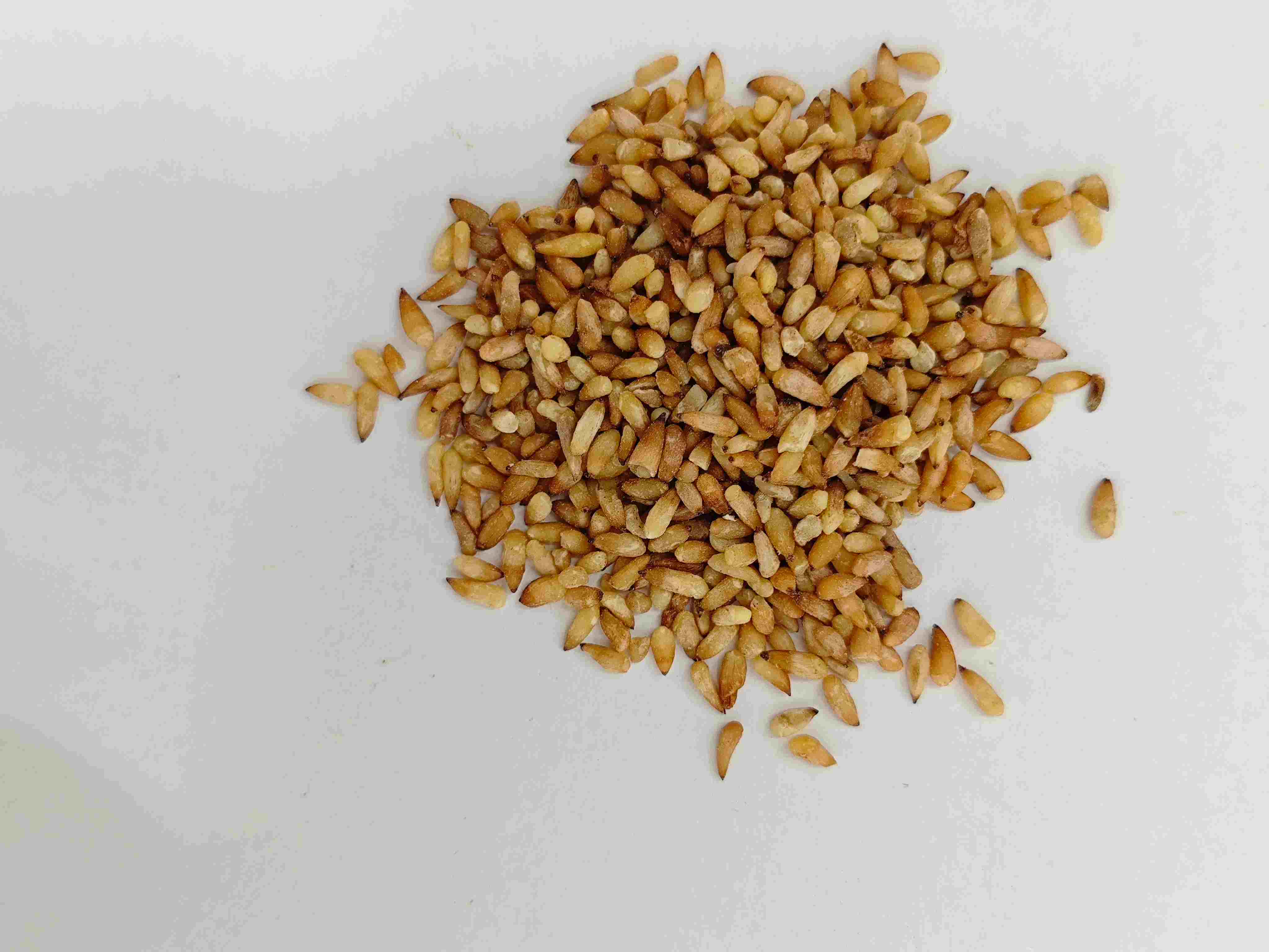 Chinese Arborvitae Seed (Bǎi Zǐ Rén)