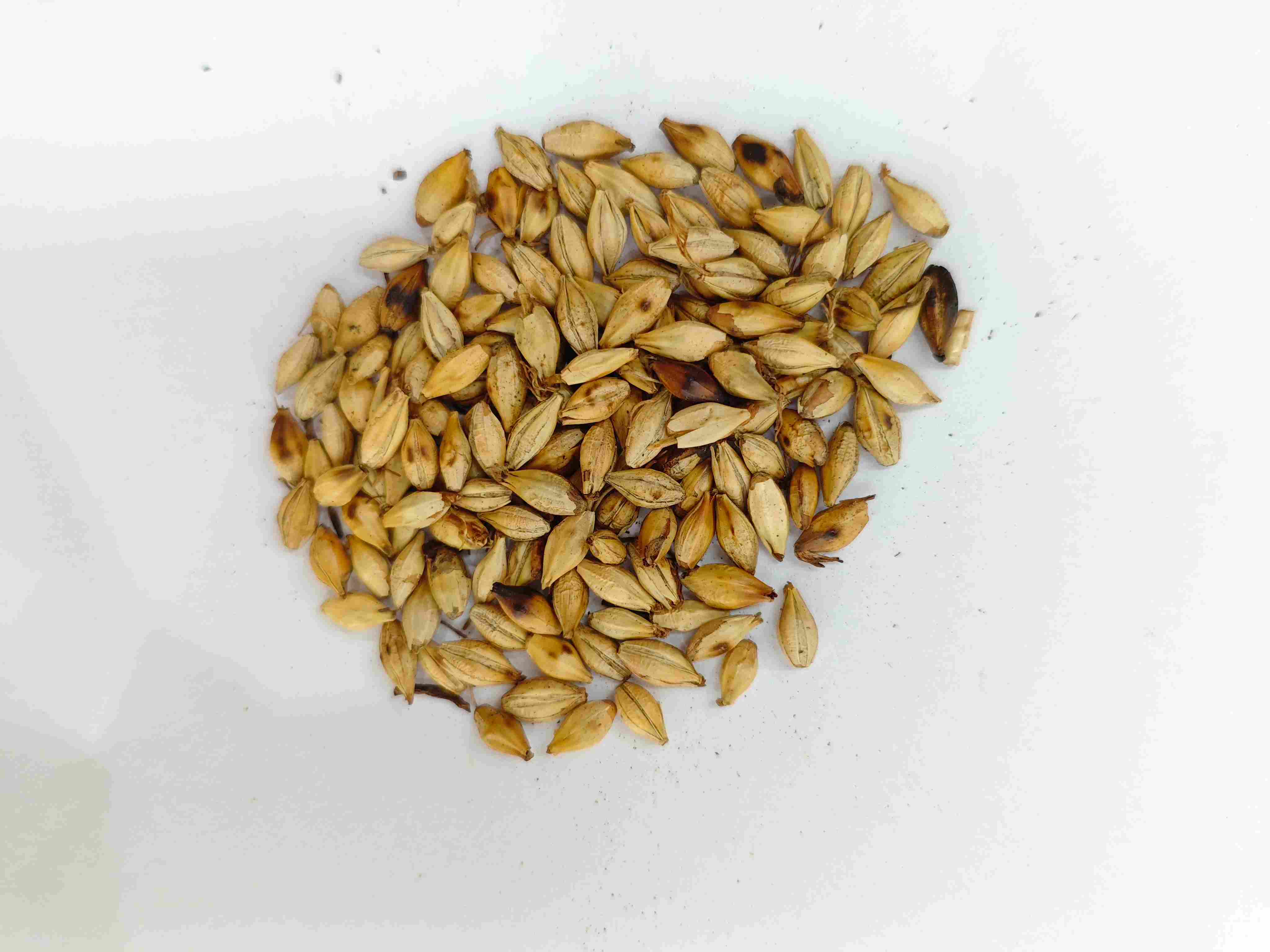 Roasted Barley Malt (Chǎo Mài Yá)