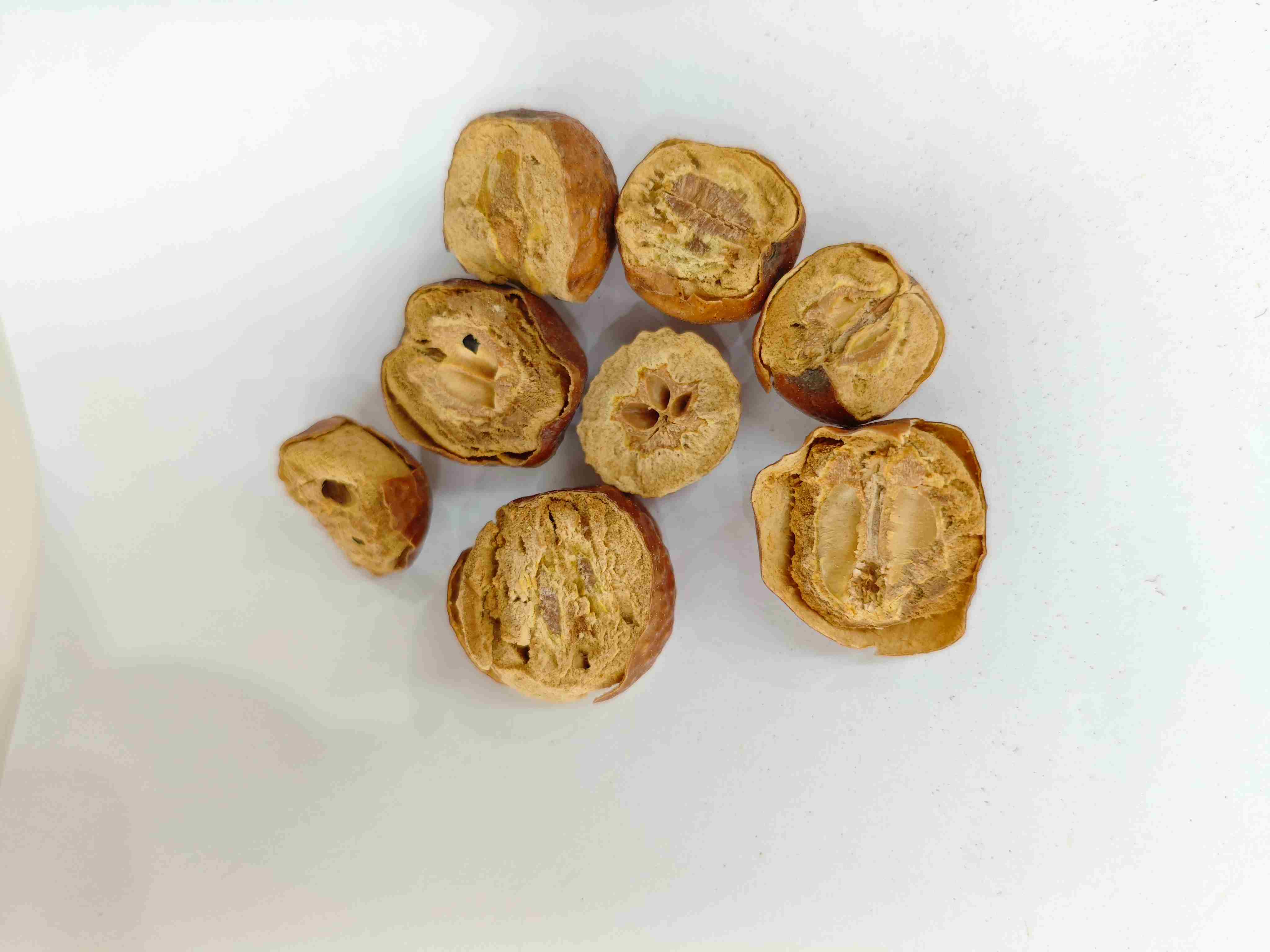 Toosendan Fruit (Chuān Lián Zǐ)