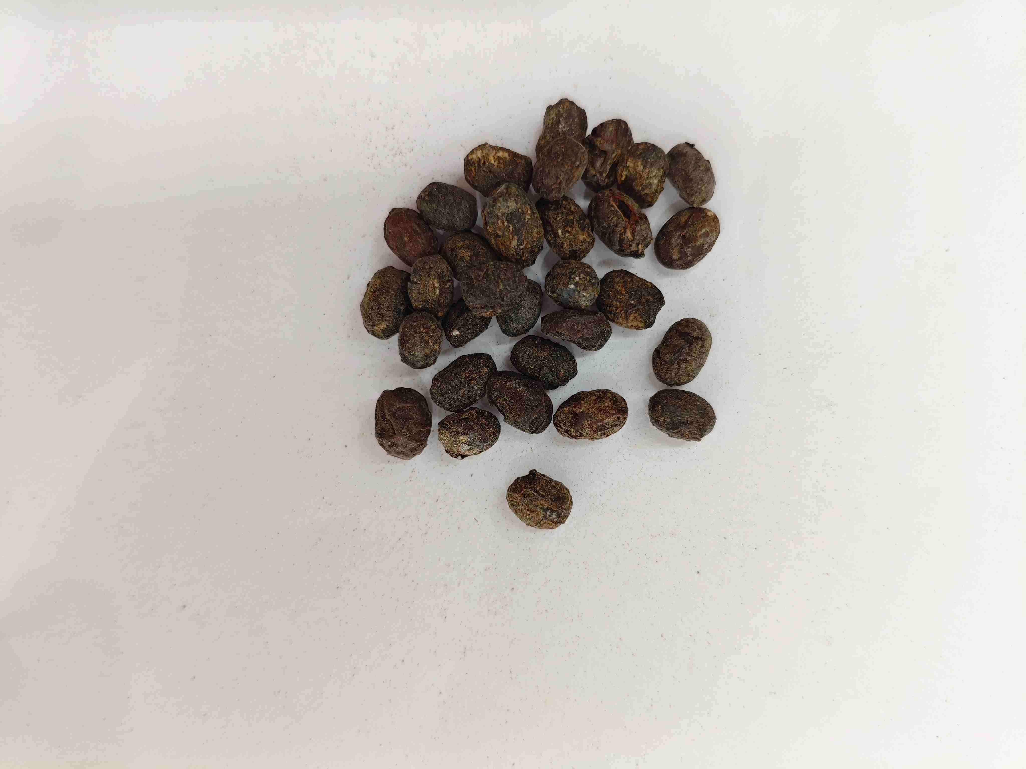Fermented Soybean (Dàn Dòu Chǐ)