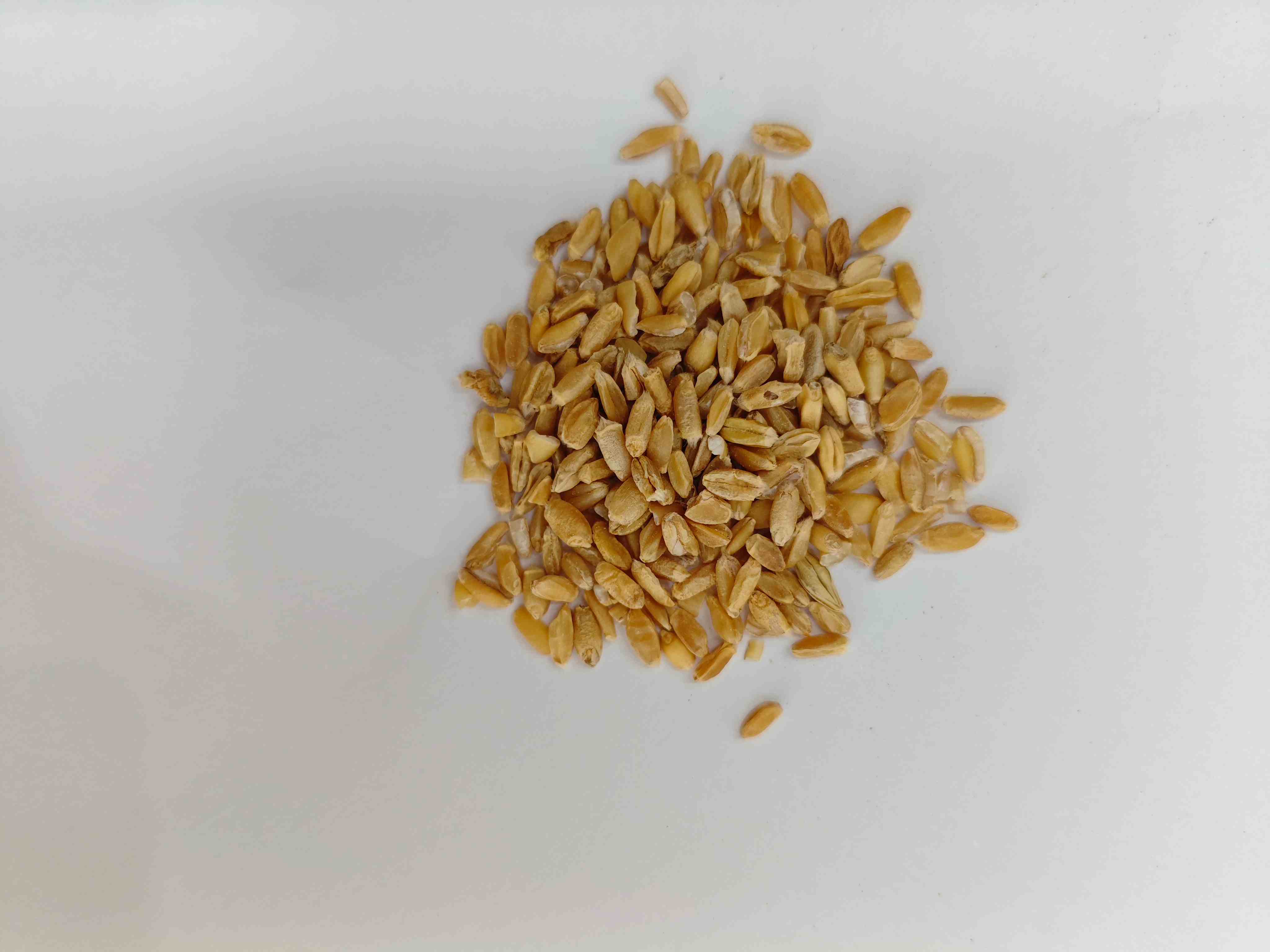 Floating Wheat (Fú Xiǎomài)