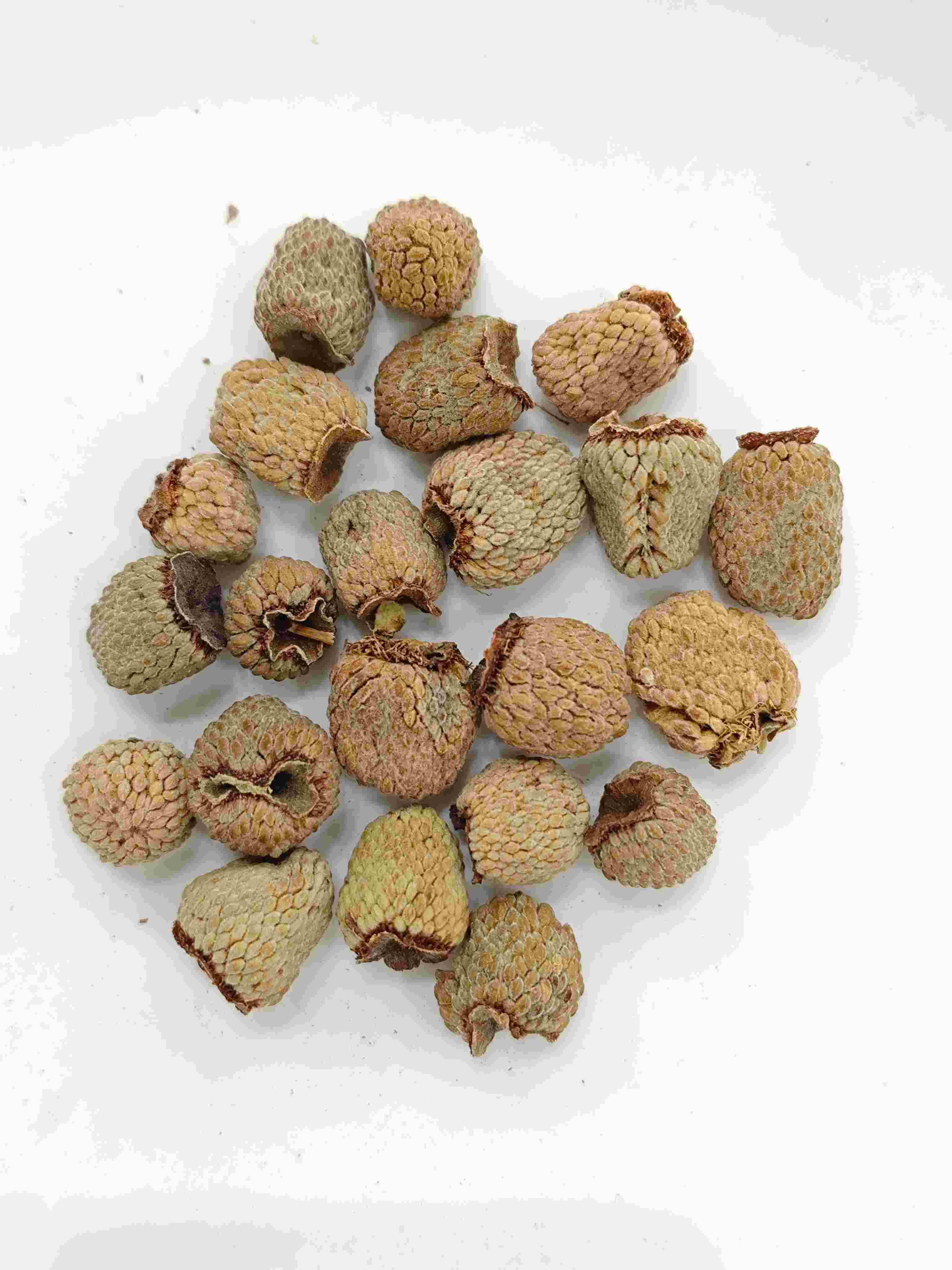 Raspberry Fruit (Fù Pén Zǐ)