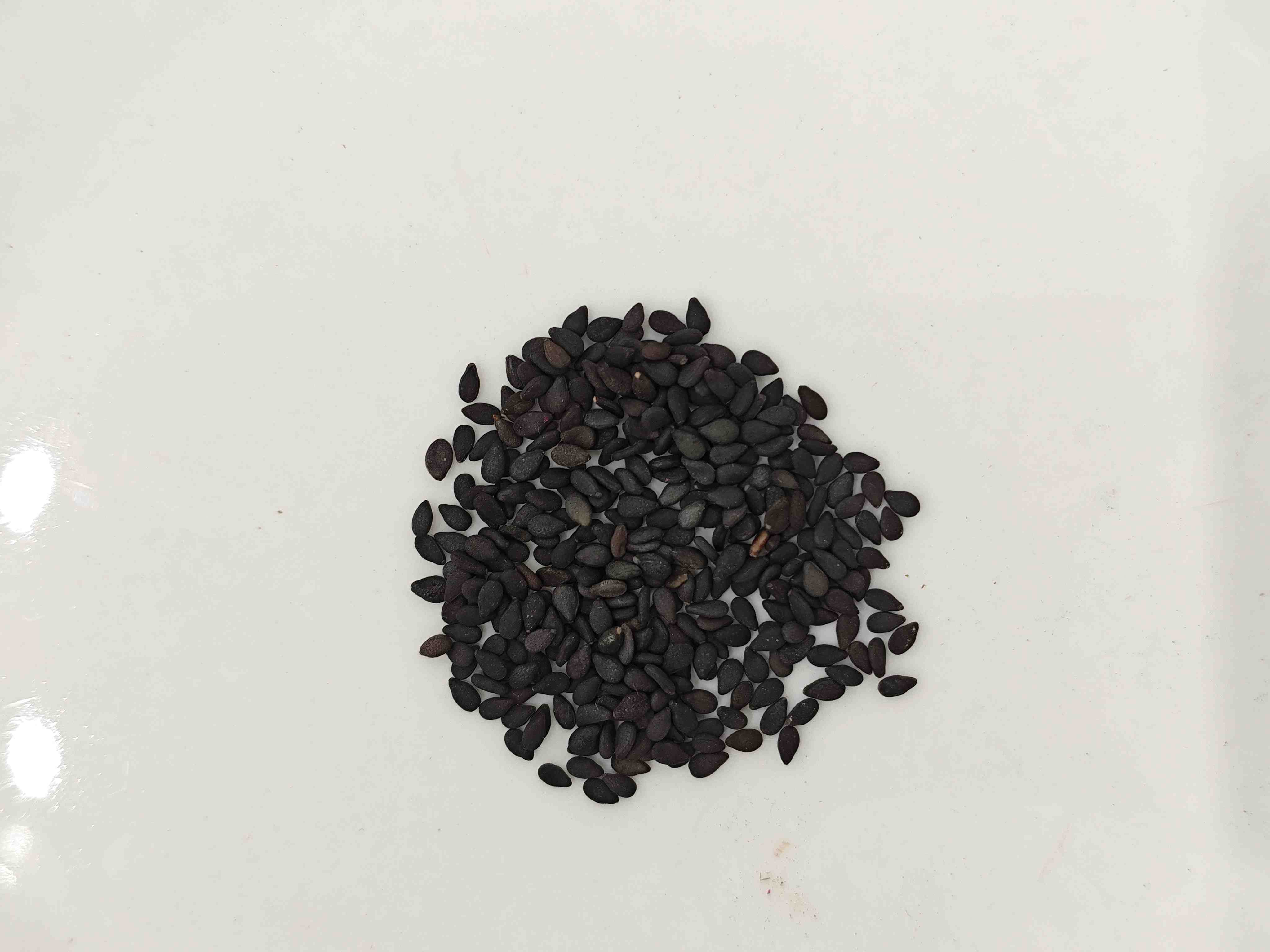 Black Sesame Seed (Hēi Zhīmá)