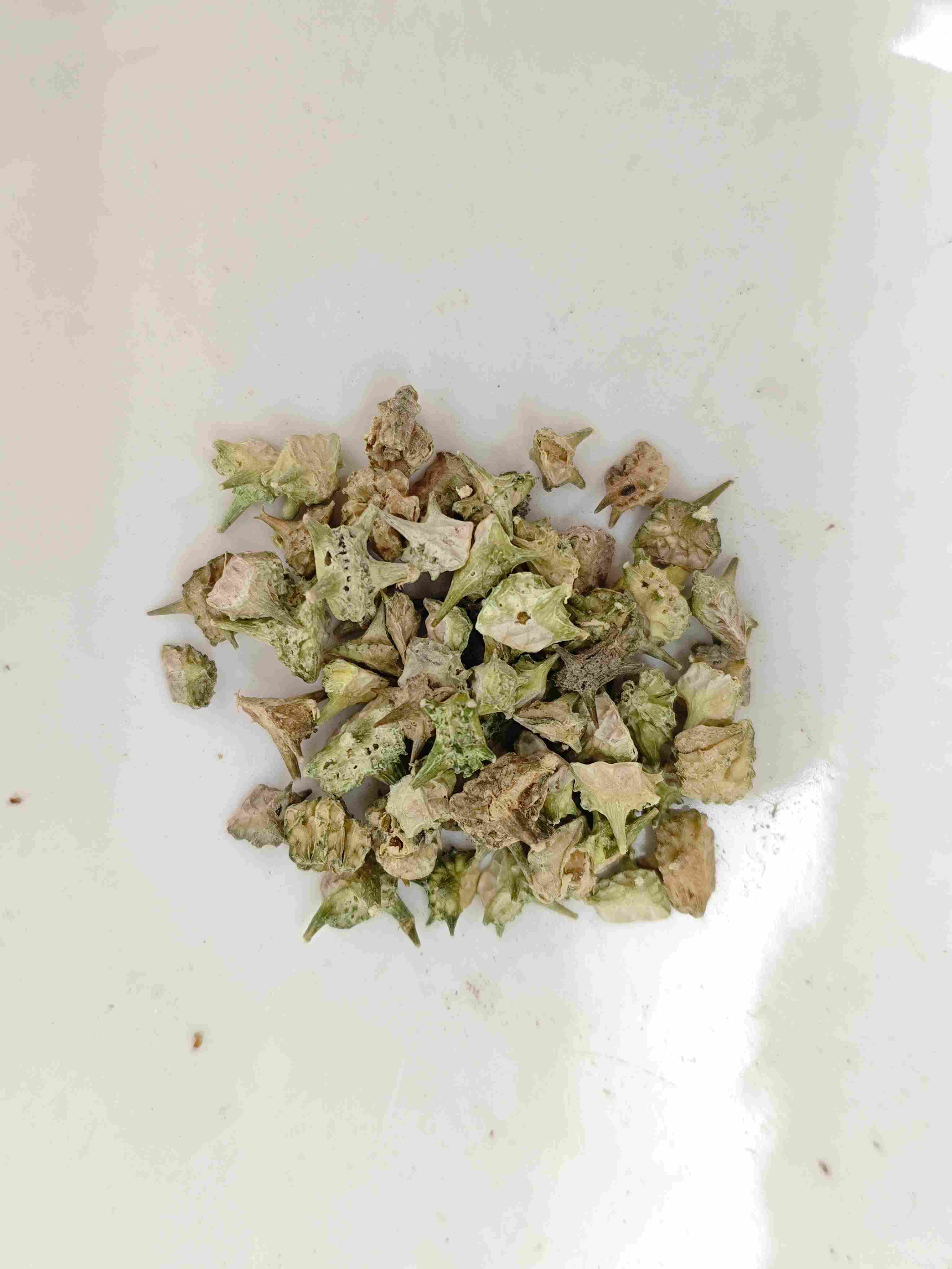 Tribulus (Jílí)