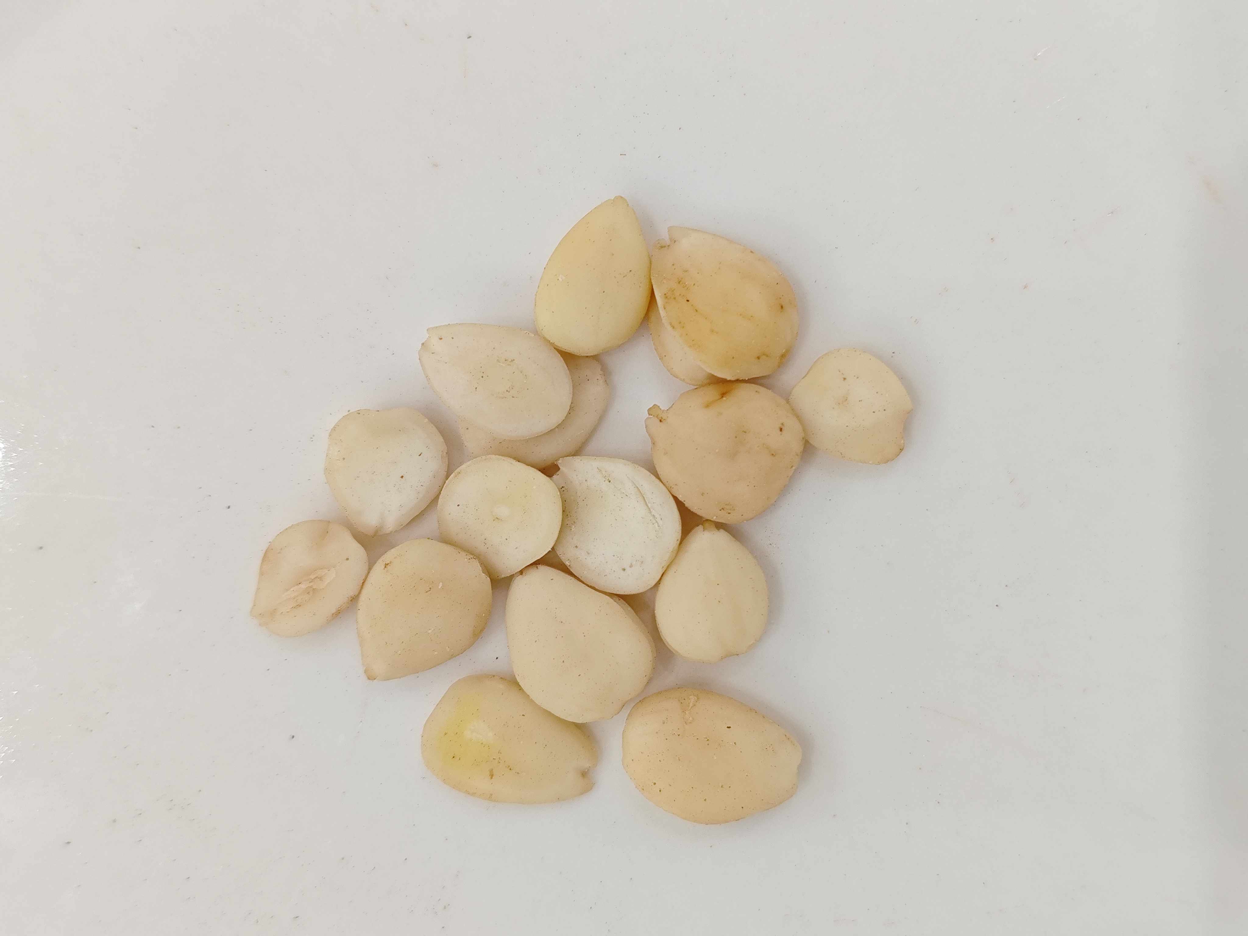 Bitter Apricot Seed (Kǔ Xìngrén)
