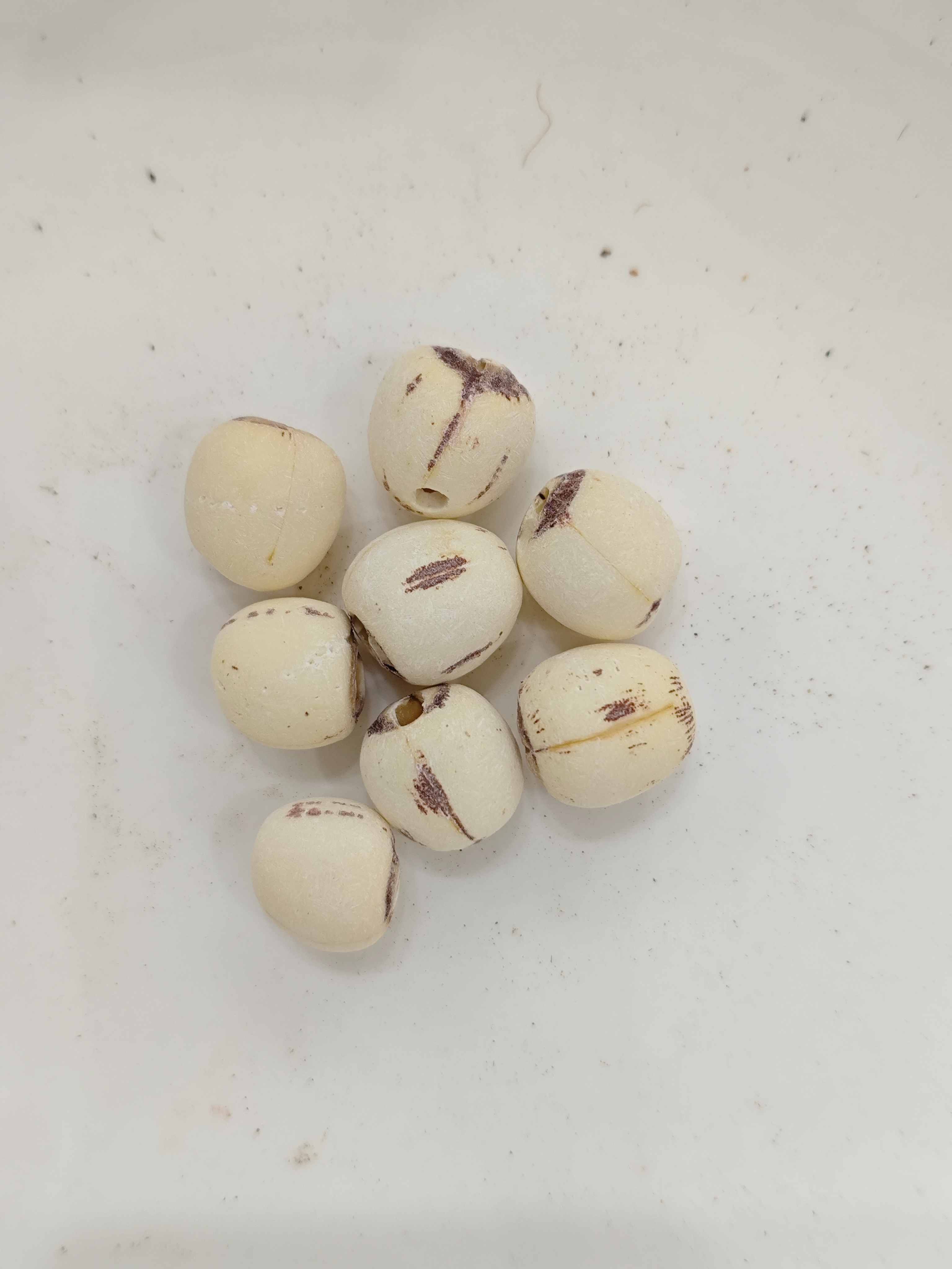 Lotus Seed (Liánzǐ)