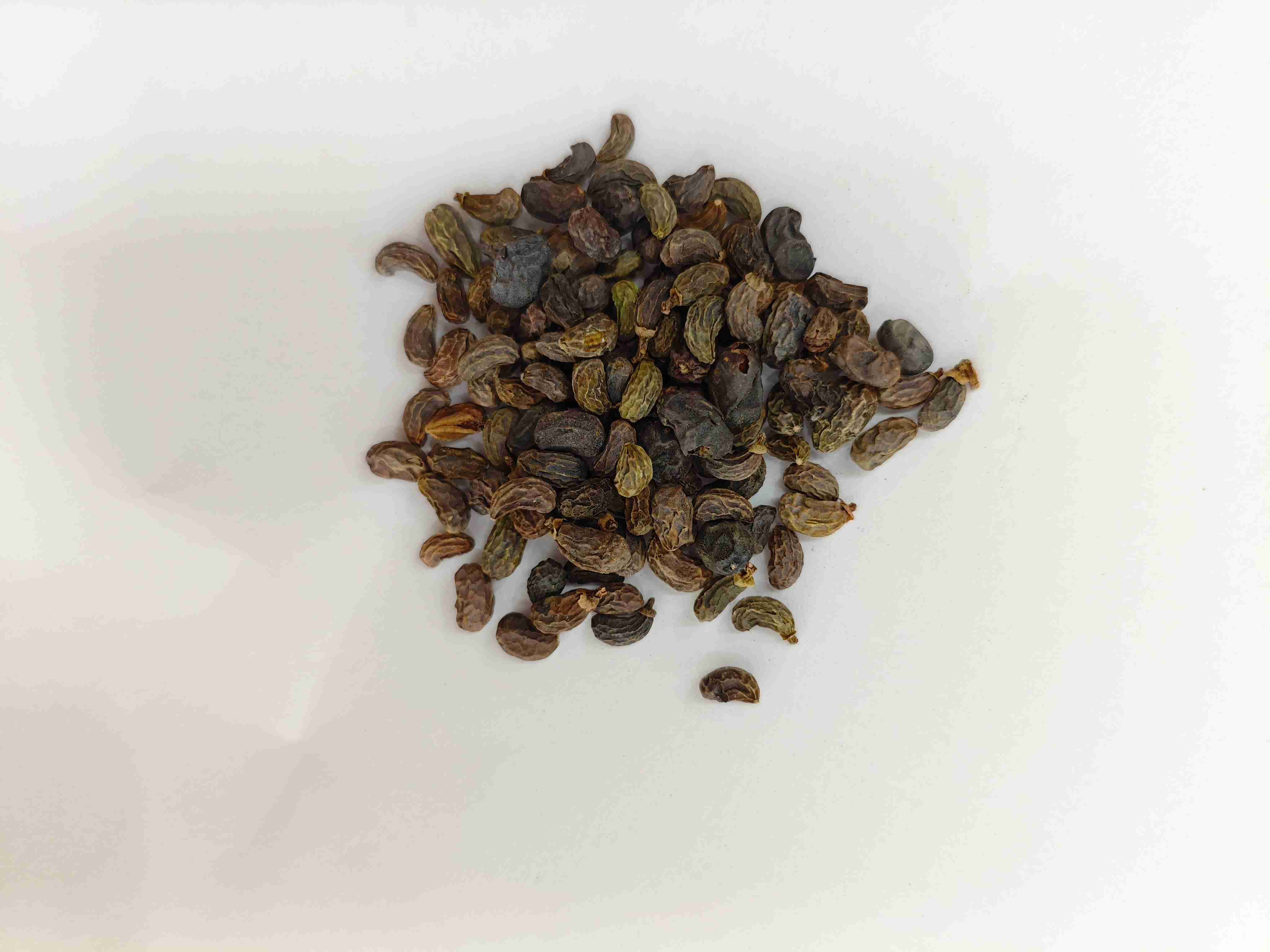 Ligustrum Fruit (Nǚzhēnzǐ)