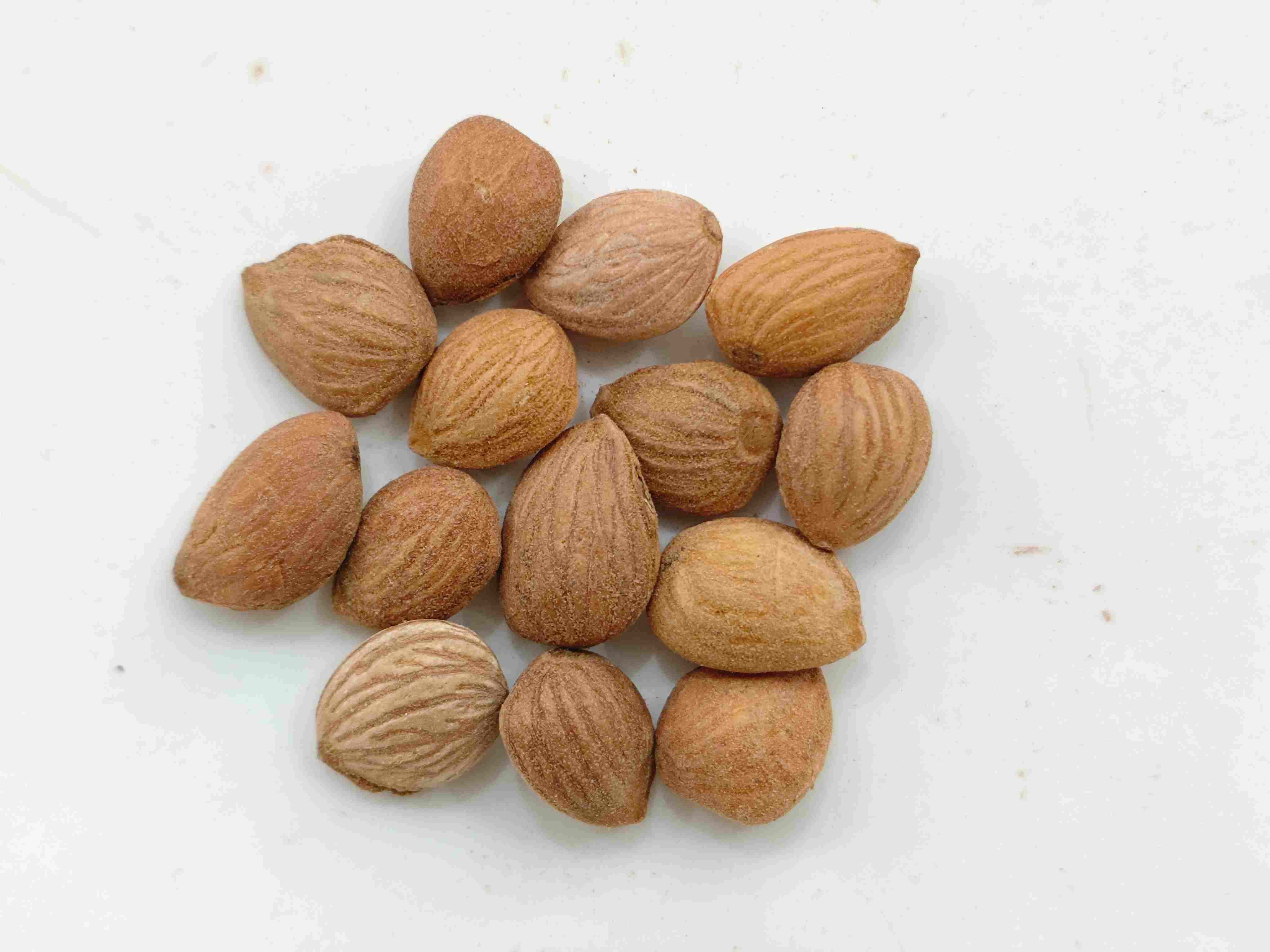 Peach Kernel (Táorén)