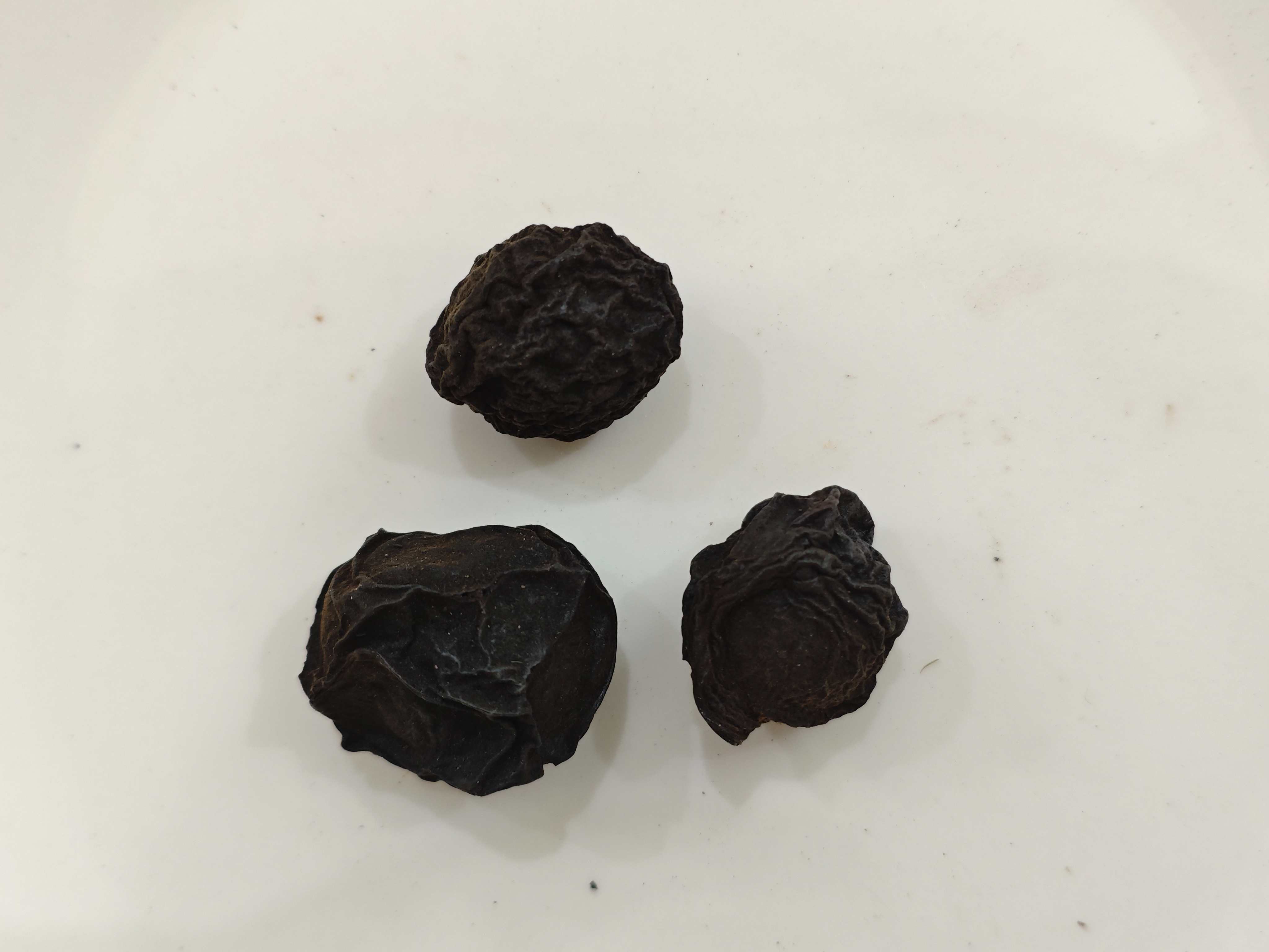 Chinese Plum (Wūméi)