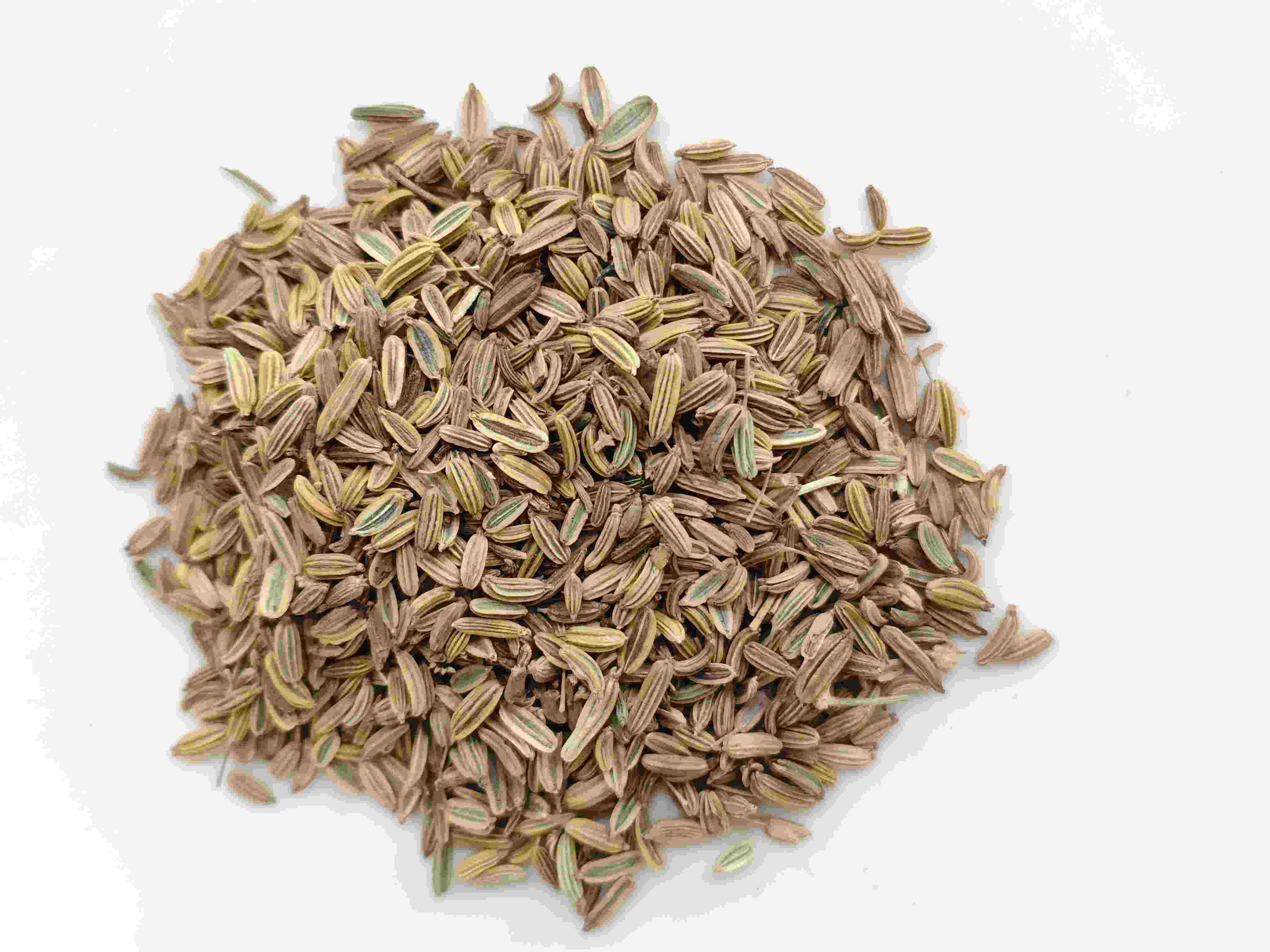 Fennel Seed (Xiǎo Huíxiāng)