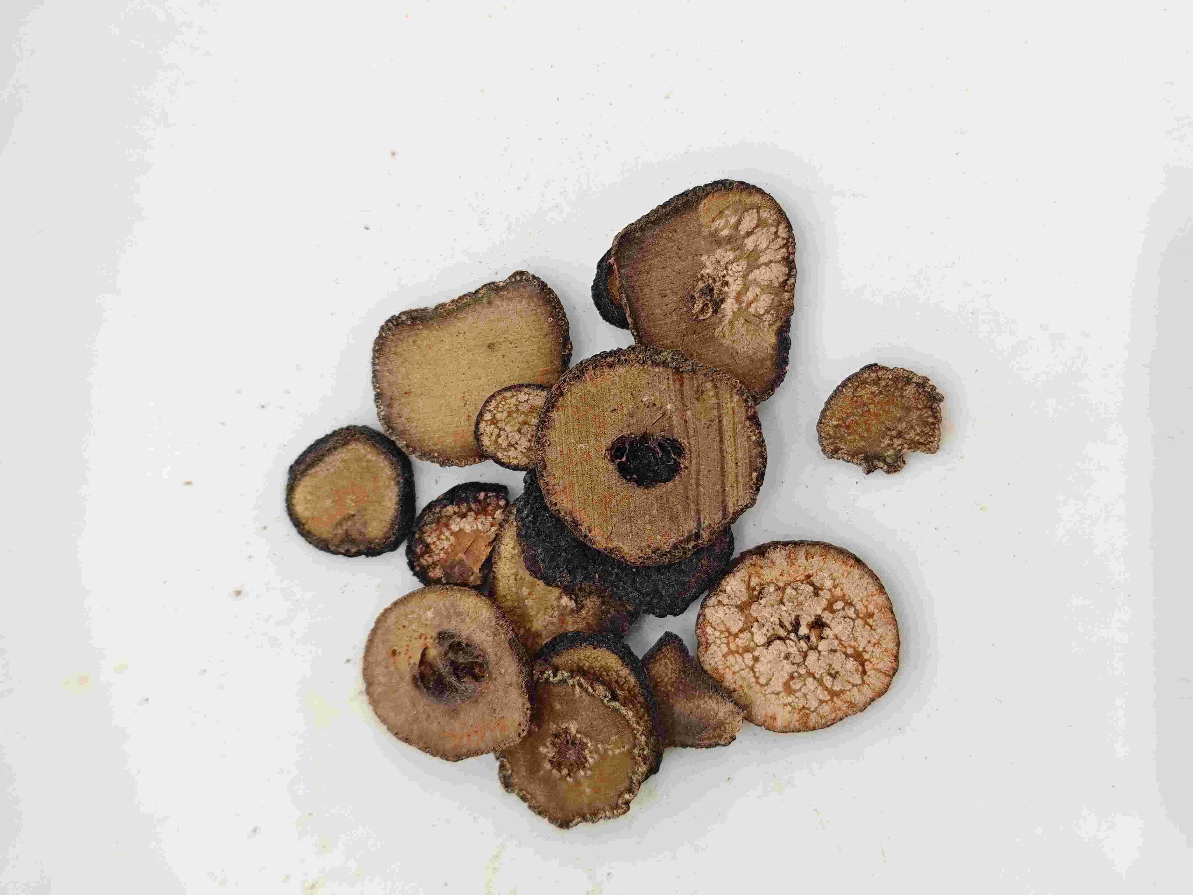 Immature Bitter Orange (Zhǐshí)