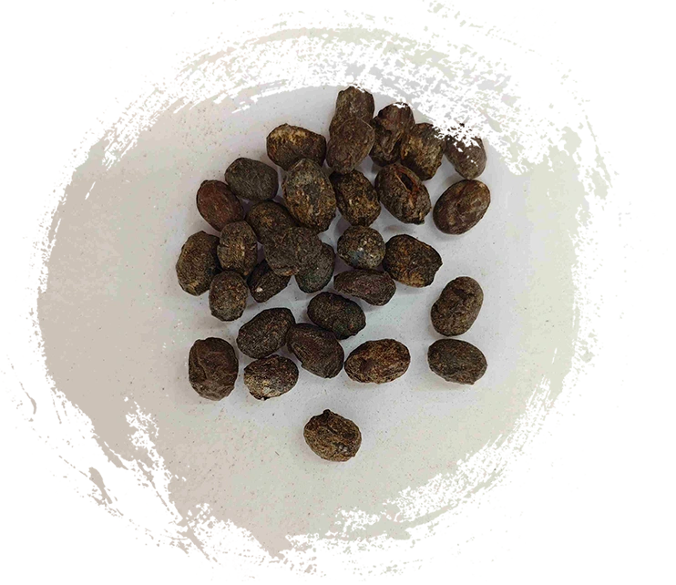 Fermented Soybean (Dàn Dòu Chǐ)