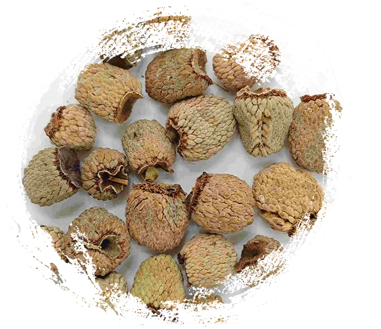 Raspberry Fruit (Fù Pén Zǐ)