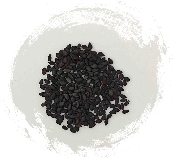 Black Sesame Seed (Hēi Zhīmá)