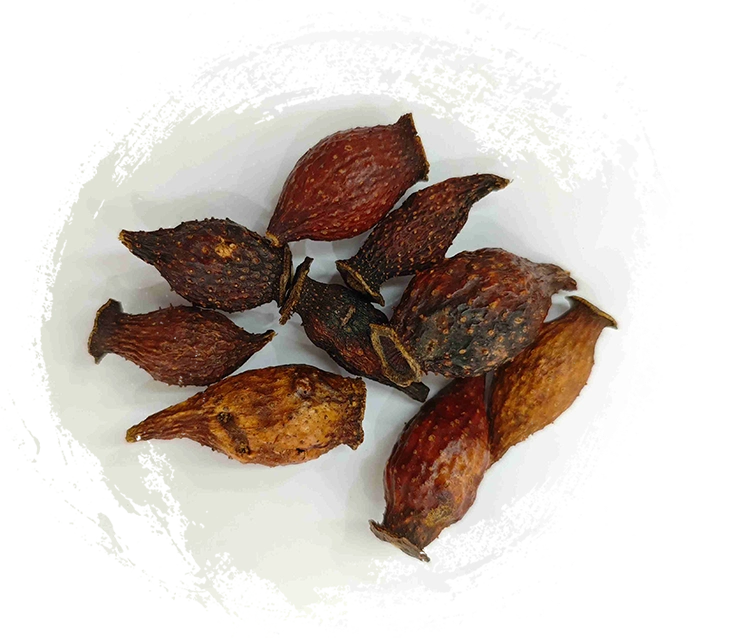 Golden Raspberry (Jīnyīngzǐ)