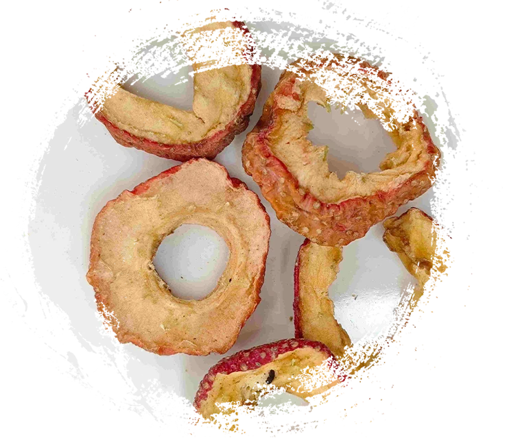 Hawthorn Fruit (Jìng Shānzhā)