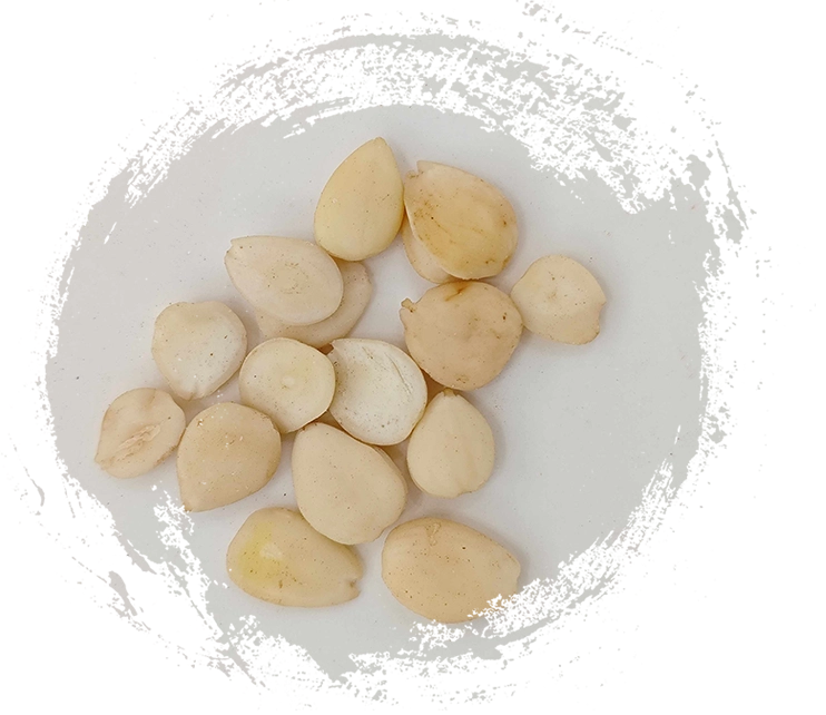 Integrating TCM Plants into Your Wellness Routine: Practical Tips and Benefits