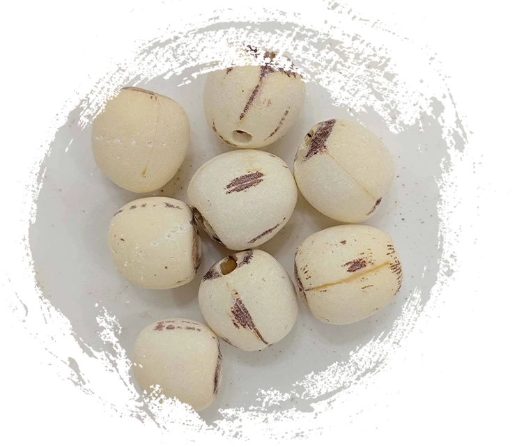 Lotus Seed (Liánzǐ)