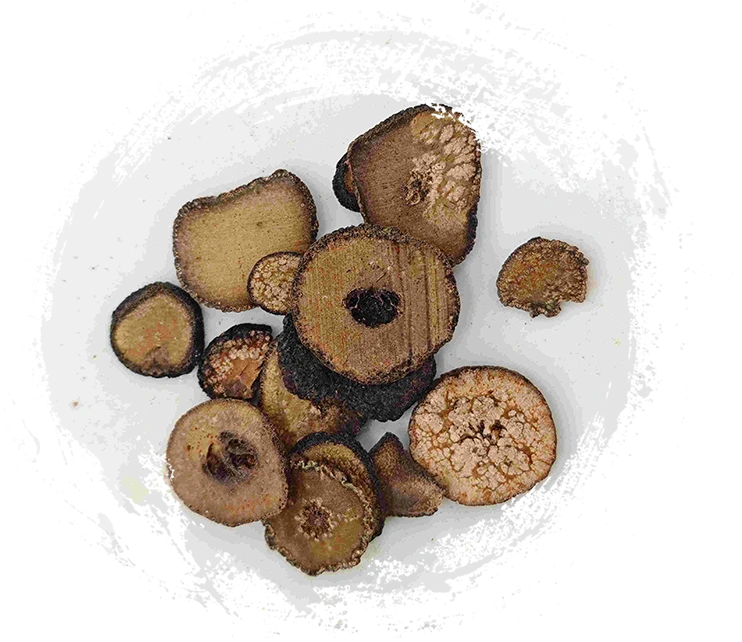 Immature Bitter Orange (Zhǐshí)